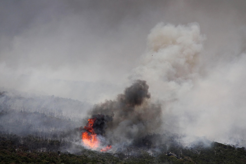 Flames leap skywards from a large bushfire at Prevelly Park ridge near Margaret River.