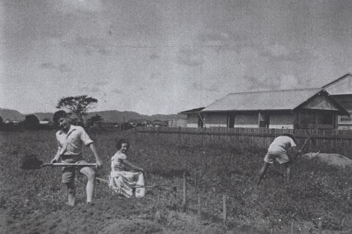 A black and white photo of a family working in a field.