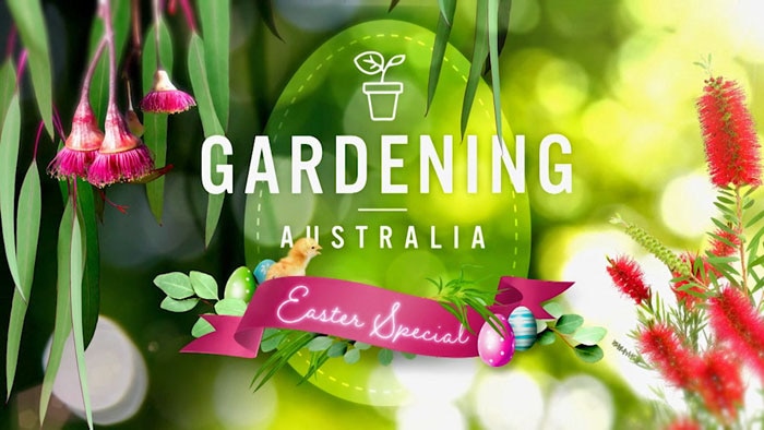 Colourful graphic with plants and easter eggs with text 'Gardening Australia Easter Special'
