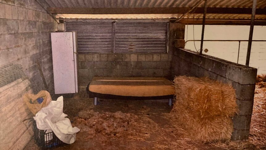 A futon in a pig sty with hay