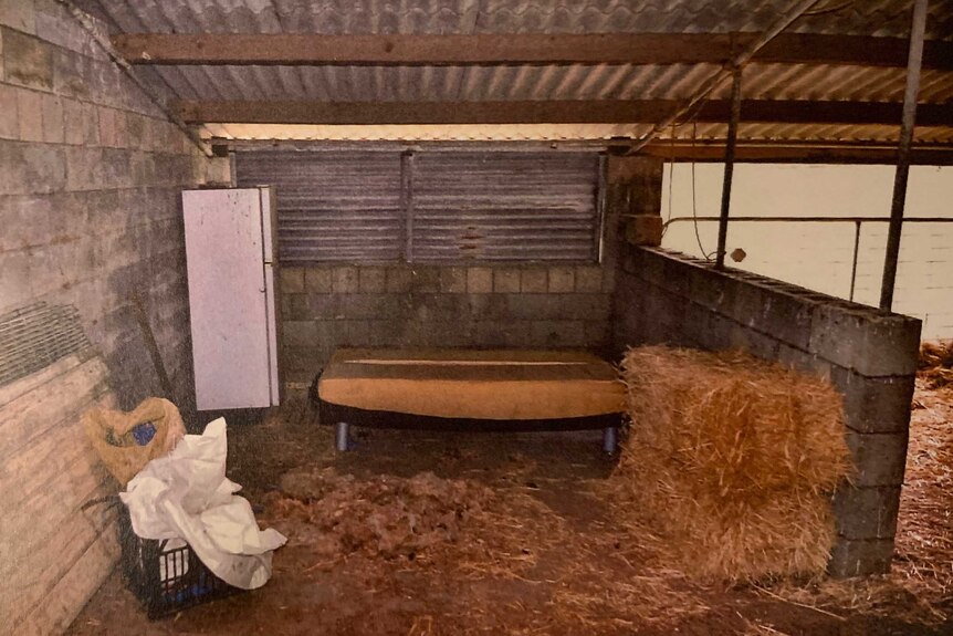 A futon in a pig sty with hay