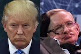 Stephen Hawking v trump