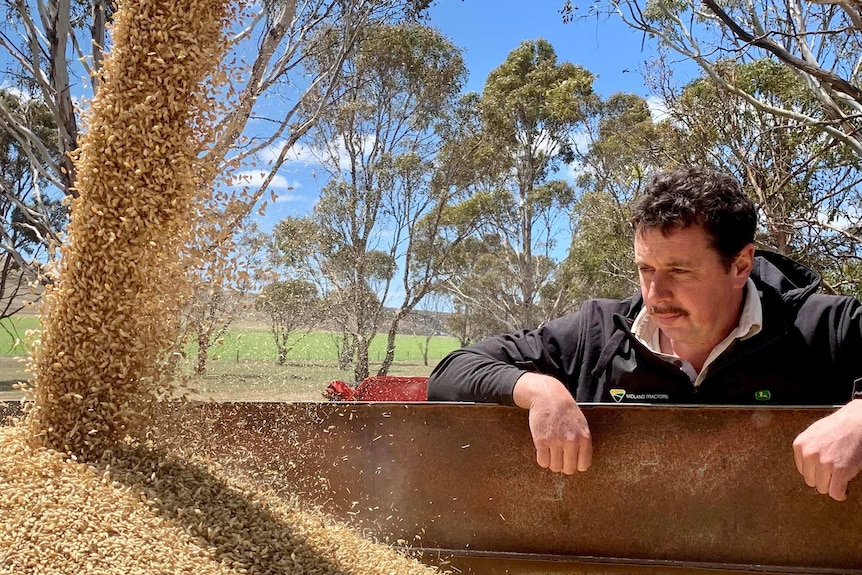 A man leaning over looking at grain entering a large container