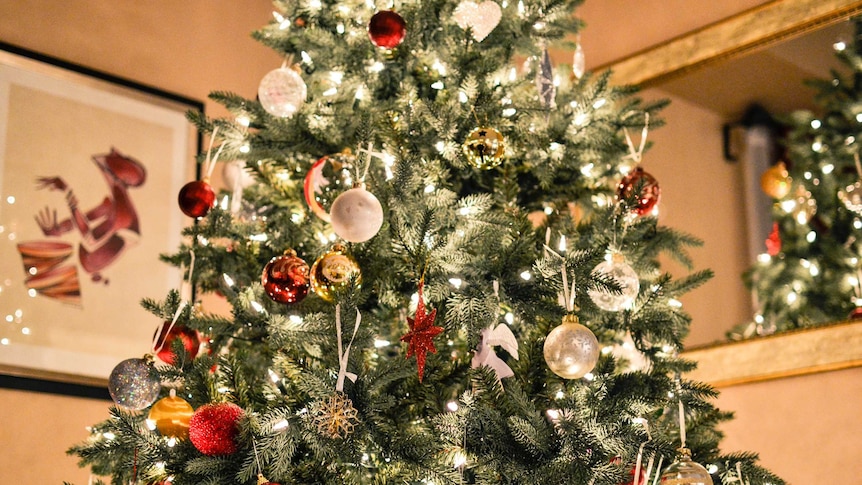 The Christmas tree: From pagan origins and Christian symbolism to ...