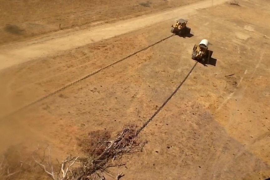 Land clearing investigation at Queensland's Gulf Country