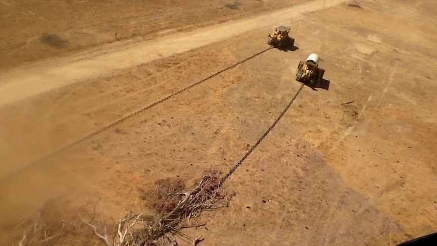 Land clearing investigation at Queensland's Gulf Country