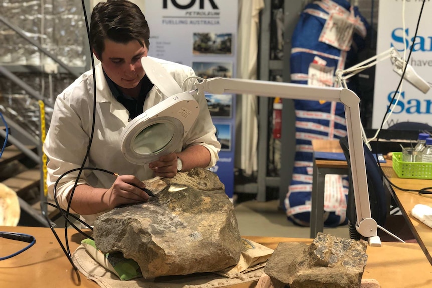 A man in a white coat uses a black tool on a dinosaur bone that looks like a chunk of rock. He works using a magnifying glass.