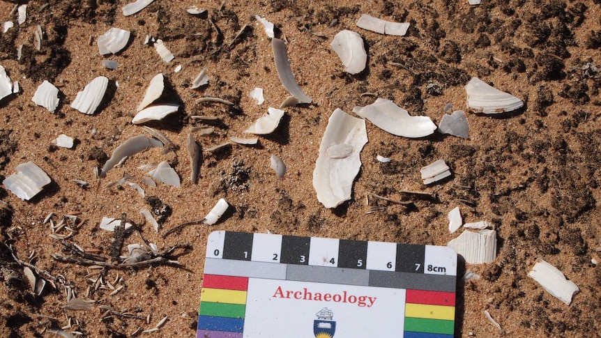 Flinders University research at Calperum Station