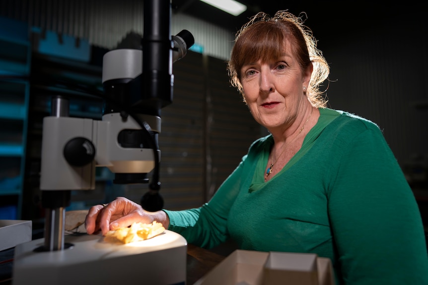 A woman sits in front of a microscope with a fossil under it, in a dimly lit room.