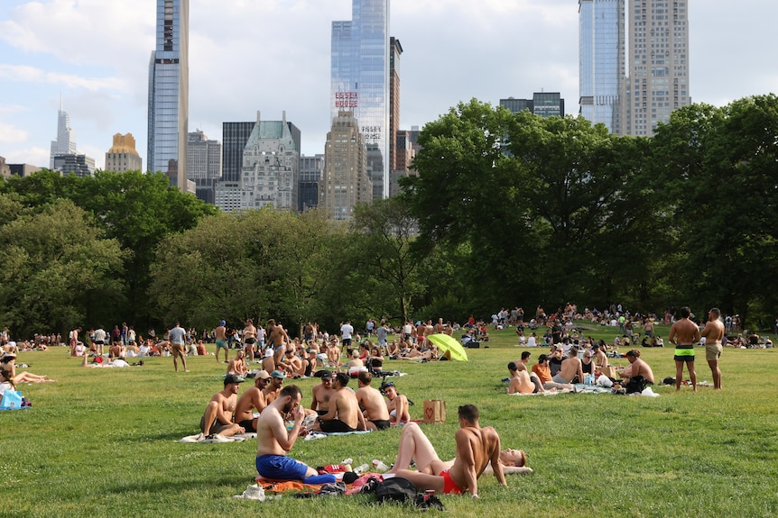 Groups of people sit on the grass in Central Park in New York