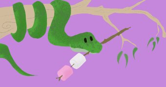 Illustration of a snake curled around a tree branch holding a skewer with marshmallows on it in its mouth.