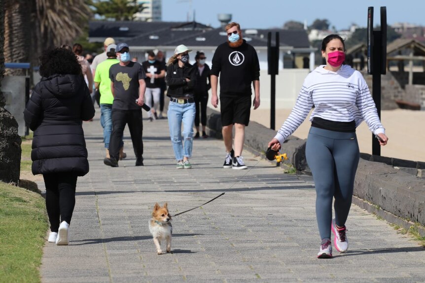 A woman walking a small dog wearing a mask with other people in masks in the background.