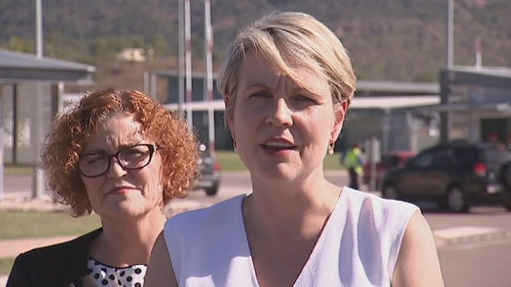 Tanya Plibersek Slams Decision Not To Back Kevin Rudd - ABC News