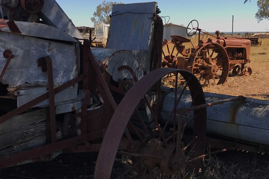 Two old tractors in Max Hockey's "machinery graveyard".