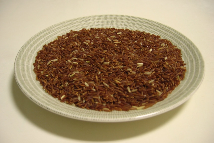 Grains of uncooked red rice in a patterned ceramic bowl