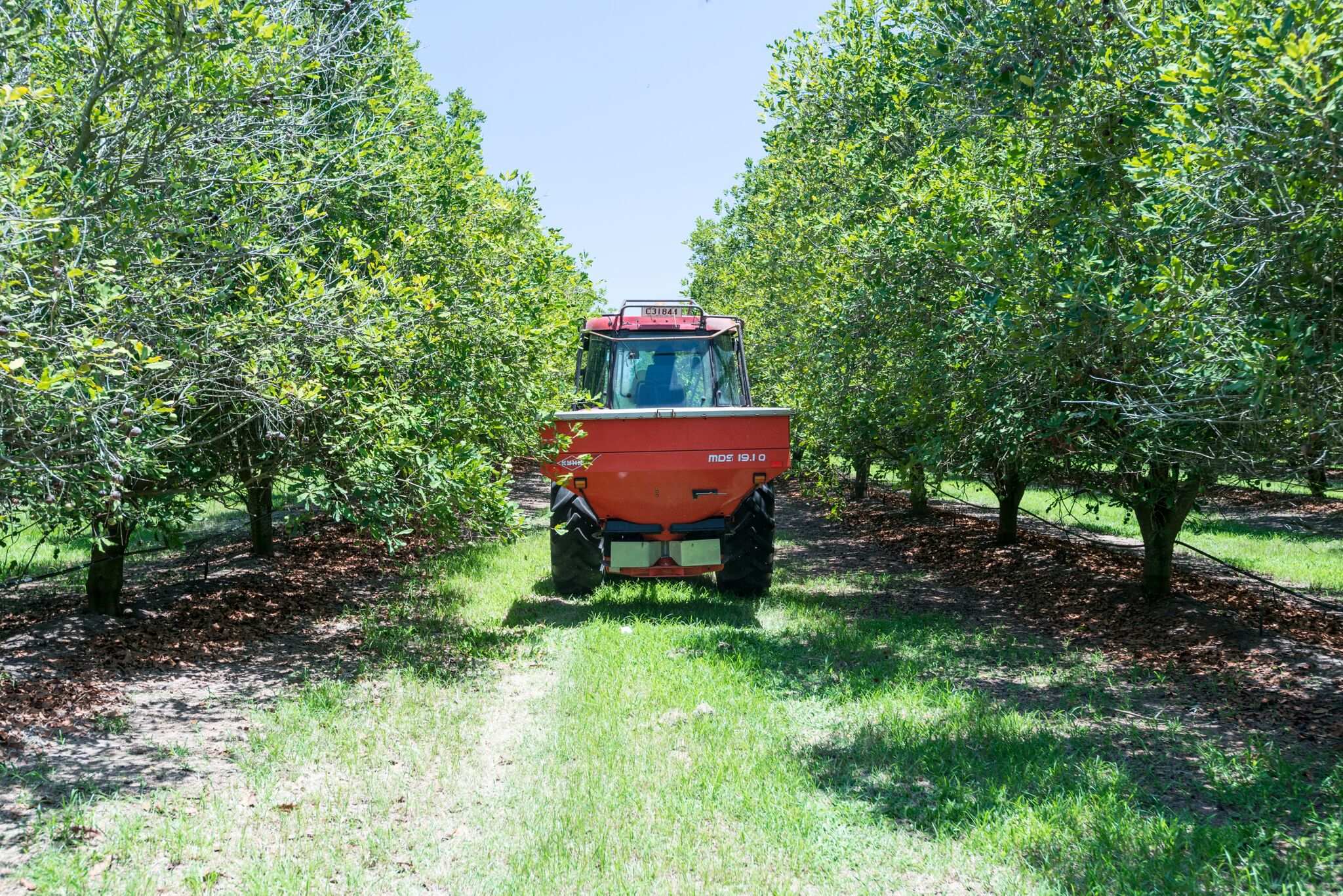 Macadamias Australia sells farm and processing plant to Canadian