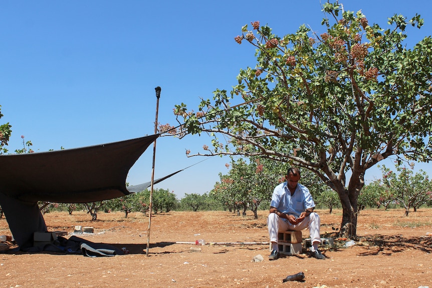 A man is sitting on a pile of cinder blocks under a green tree.  Dry orange dirt all over the floor and a tarp erected next to it