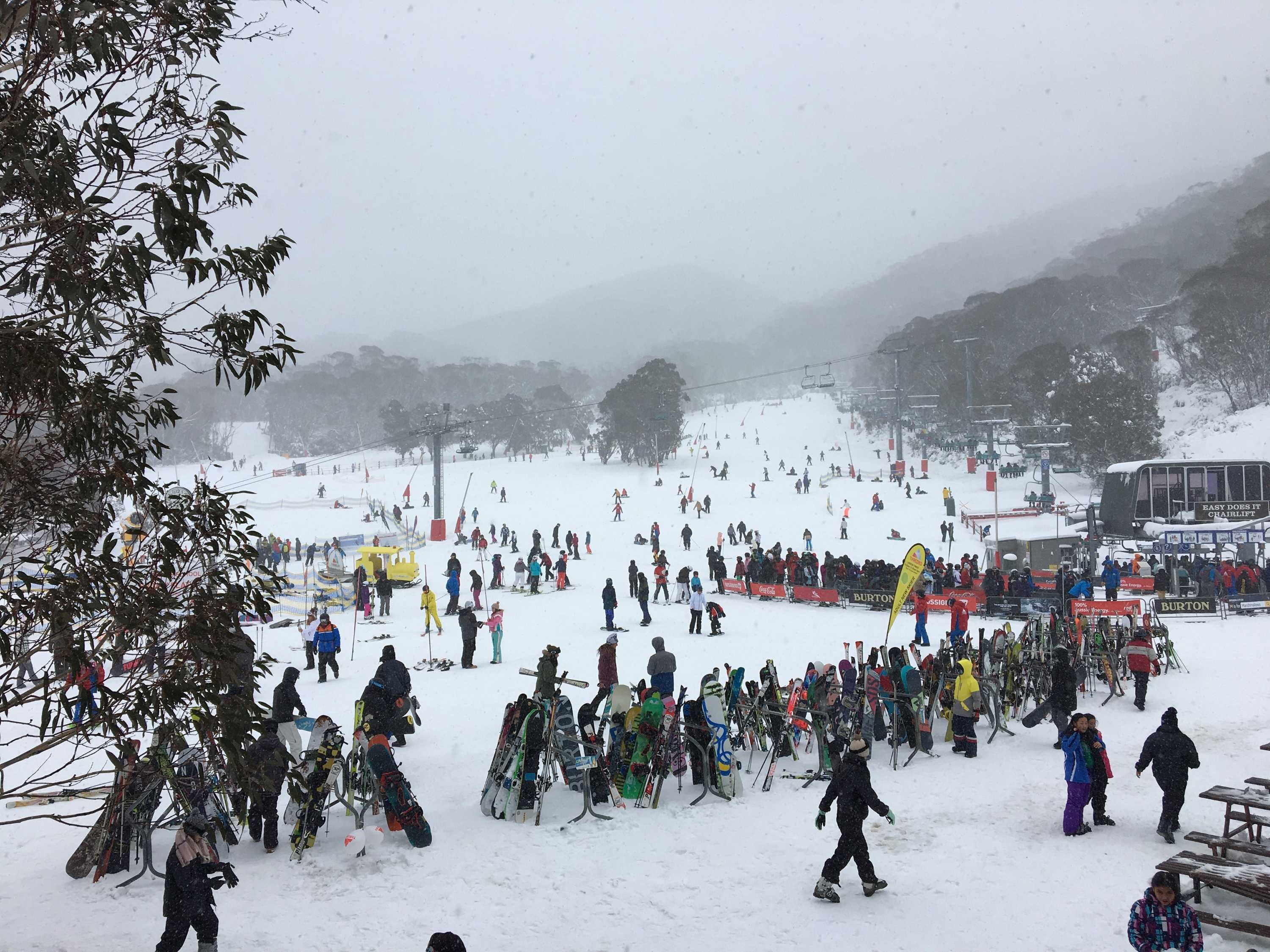 A landscape photo of the ski slopes at Thredbo in 2019
