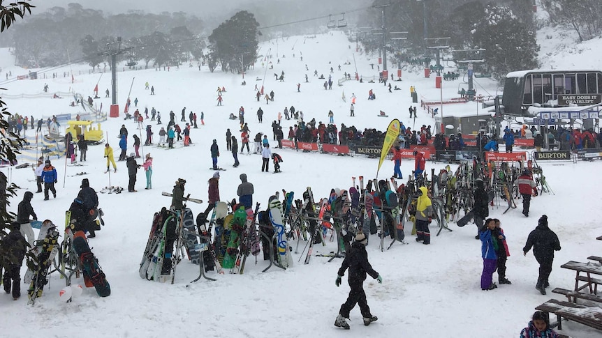 Thredbo resort said it was 'continuing to plan for the 2020 snow season'