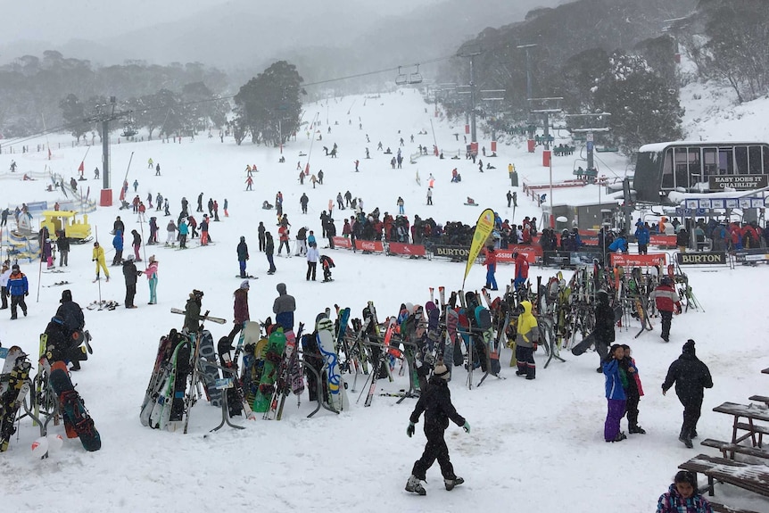 Thredbo resort said it was 'continuing to plan for the 2020 snow season'