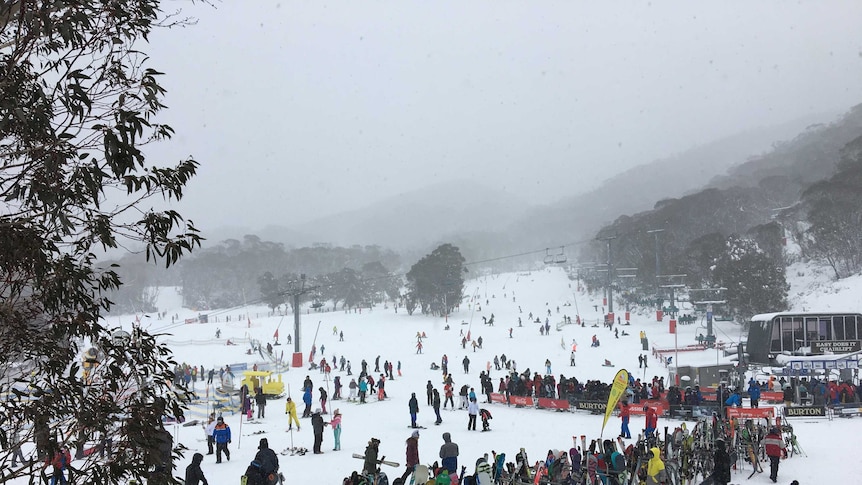 A landscape photo of the ski slopes at Thredbo in 2019