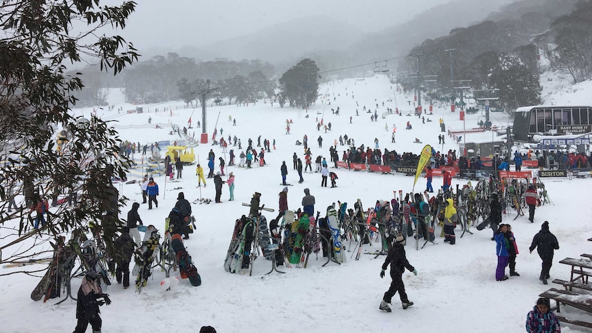 A ski slope being enjoyed by plenty of people.