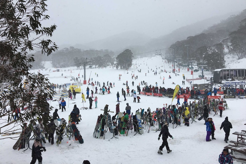 A landscape photo of the ski slopes at Thredbo in 2019.