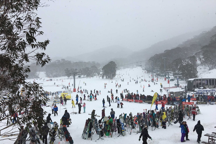 A landscape photo of the ski slopes at Thredbo in 2019