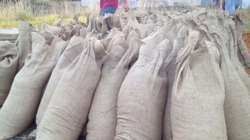 Sandbags at Tallygaroopna