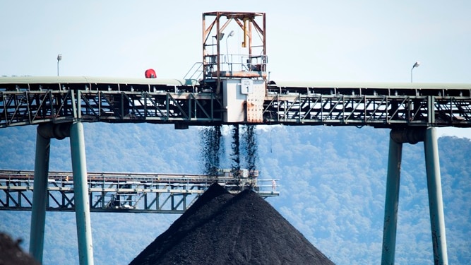 Coal stock piles