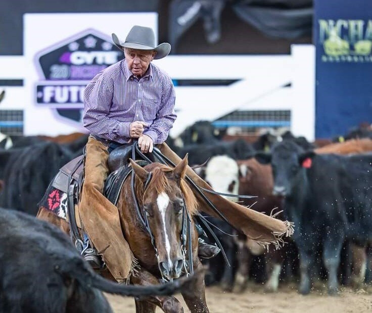 A man rides a horse, cutting cattle in an arena.
