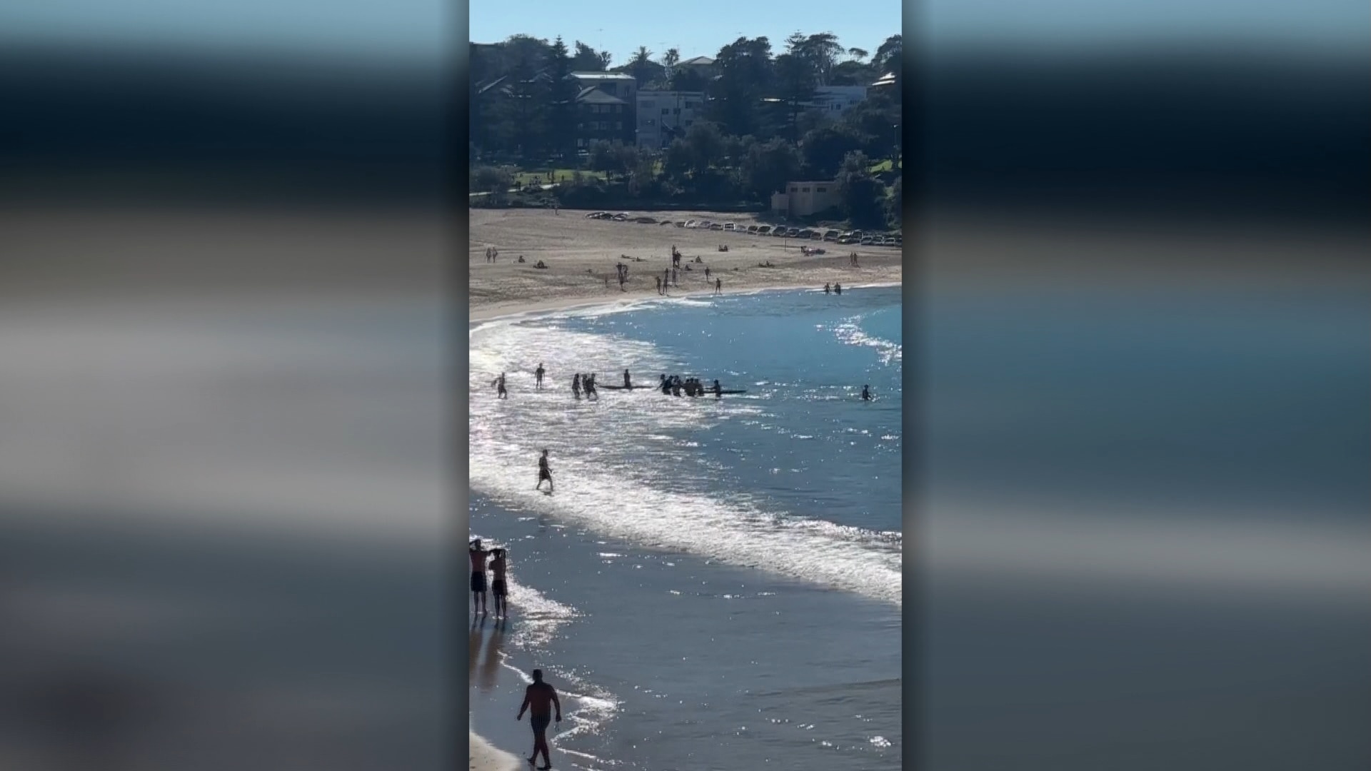 Crowds gather at Coogee beach after shark attack 