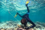 A diver in a wetsuit with a hand on coral at the bottom of the reef