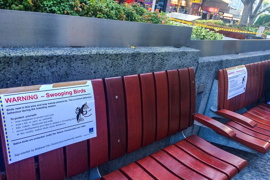 Signs have been attached to the popular benches in the mall.