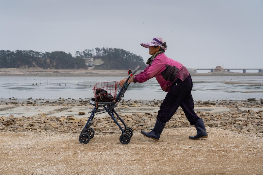 A woman wearing a pink jacket and cap leans over a shopping cart and pushes it across a rocky beach.