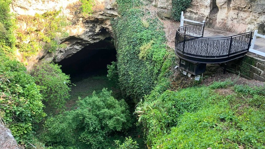 A sinkhole surrounded by rock and greenery