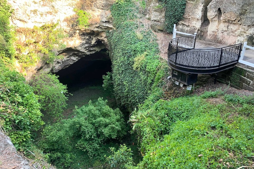 A sinkhole surrounded by rock and greenery