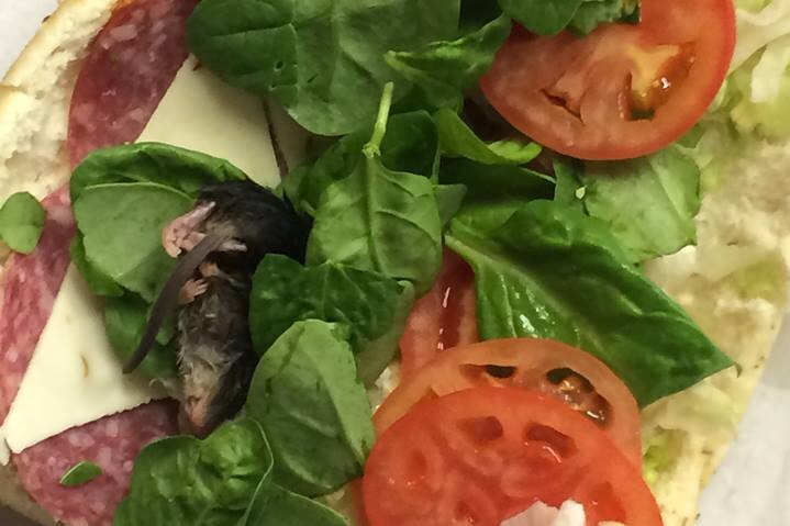Rat in Subway sandwich