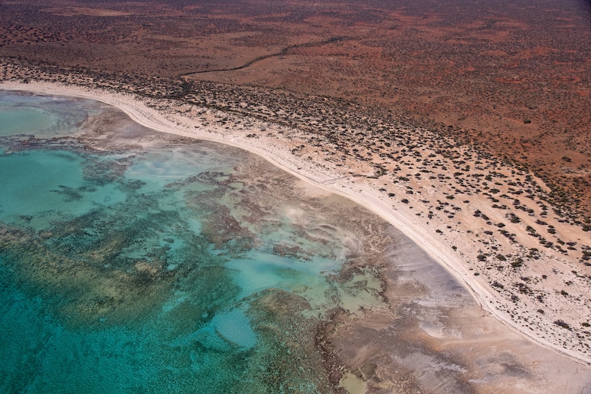 An aerial photo of arid red inland meeting the beach and turquoise seas.