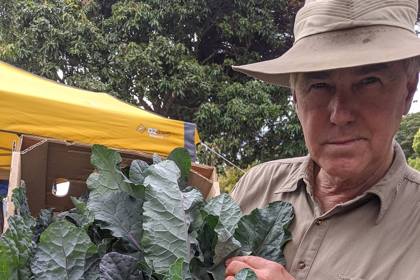 A farmer stands with a cabbage