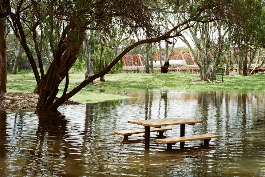 A flooded park with a bench surrounded by water, a bridge in the background, trees, grass.