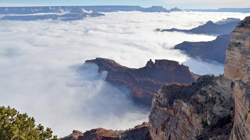 Clouds fill the Grand Canyon