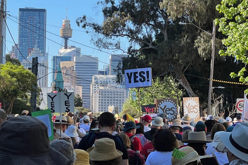 Sydney Walk for Yes crowd centrepoint tower