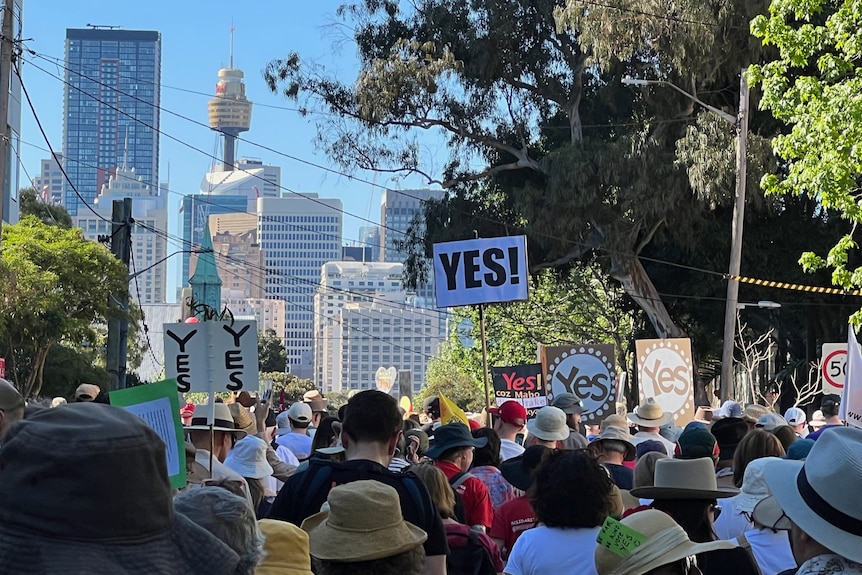 Sydney Walk for Yes crowd centrepoint tower