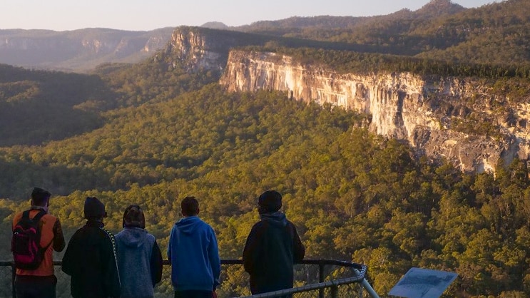 Five people look over Carnarvon Gorge.