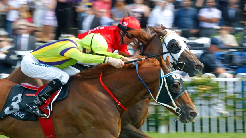 Chad Schofield wins the Group Two Sebring Stakes aboard Flamberge at Rosehill's Golden Slipper meeting on April 5, 2014.