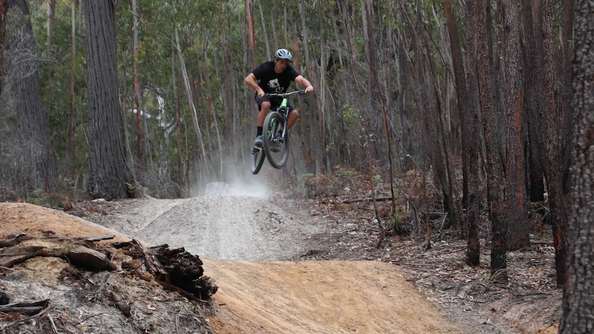 A mountain biker is airborne on a track that goes through a forest