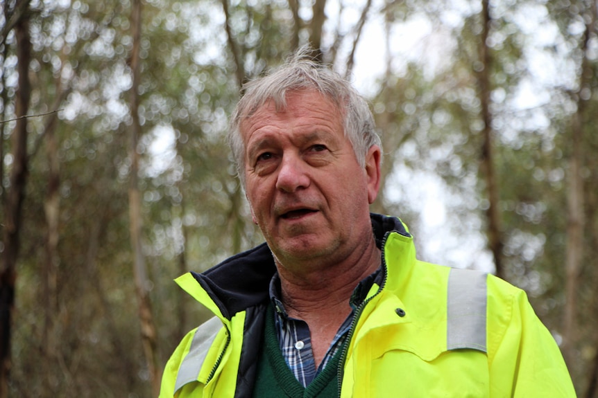 A man standing among trees looking at the sky