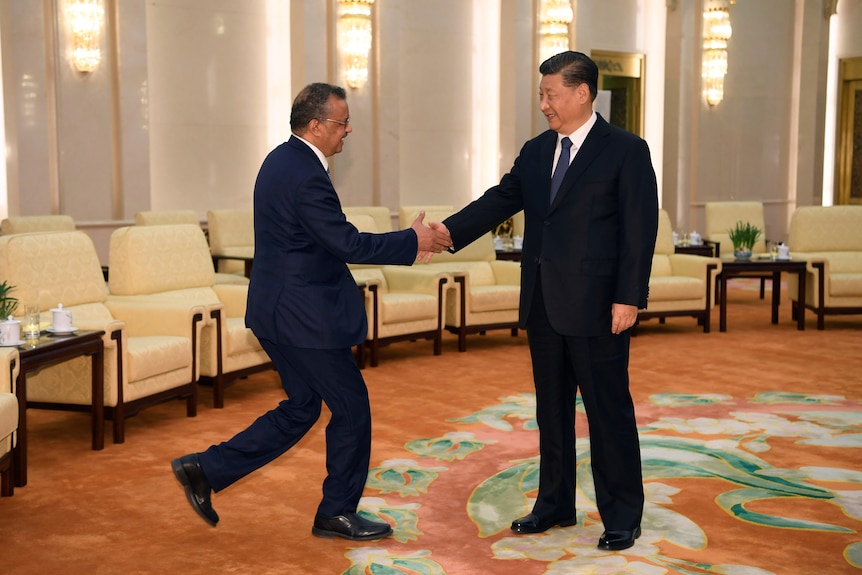 WHO Director General Tedros Adhanom shakes hands with Chinese president Xi Jingping in a meeting in Beijing, January 2020.