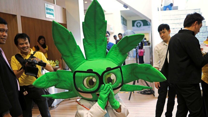 A person stands wearing a marijuana leaf-shaped mascot head and scientist's lab coat.